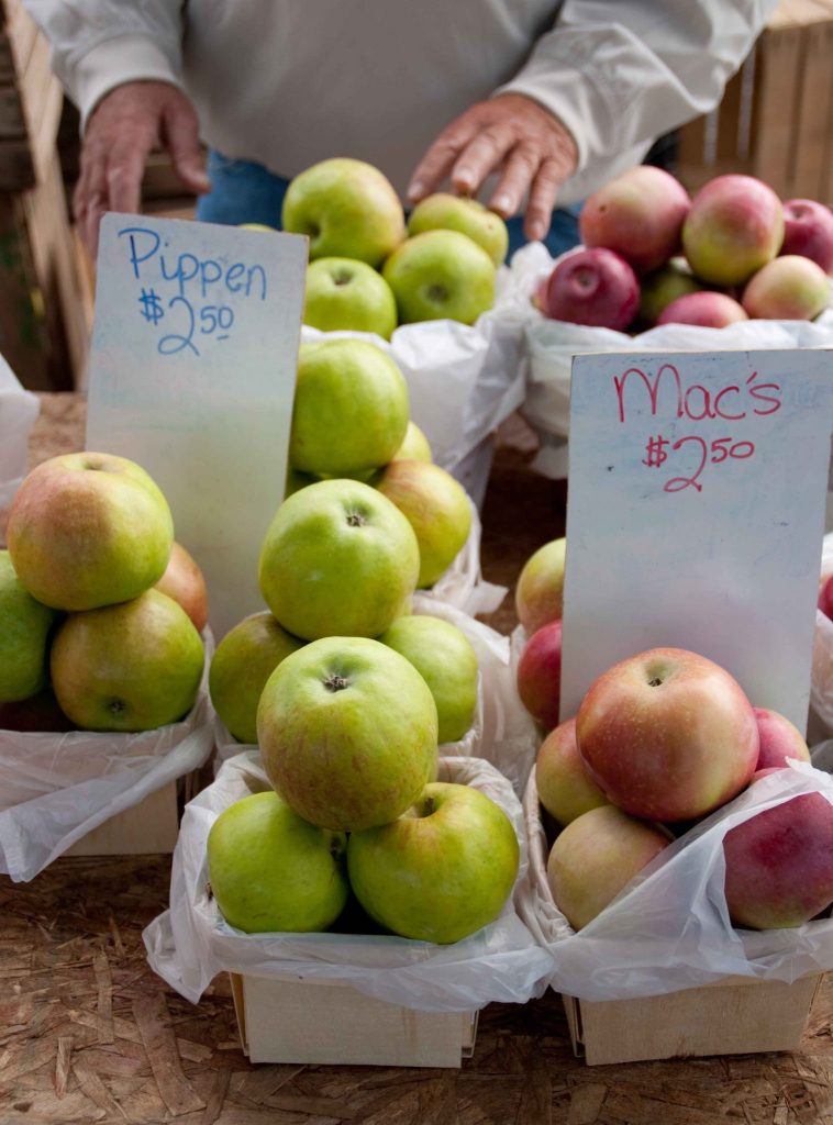Grand Haven Farmers Market Grand Haven Farmers Market