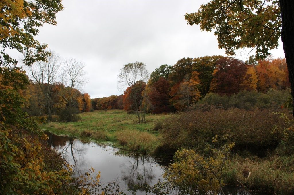 Hemlock Crossing - West Olive, Michigan. Photo courtesy of Ottawa County Parks