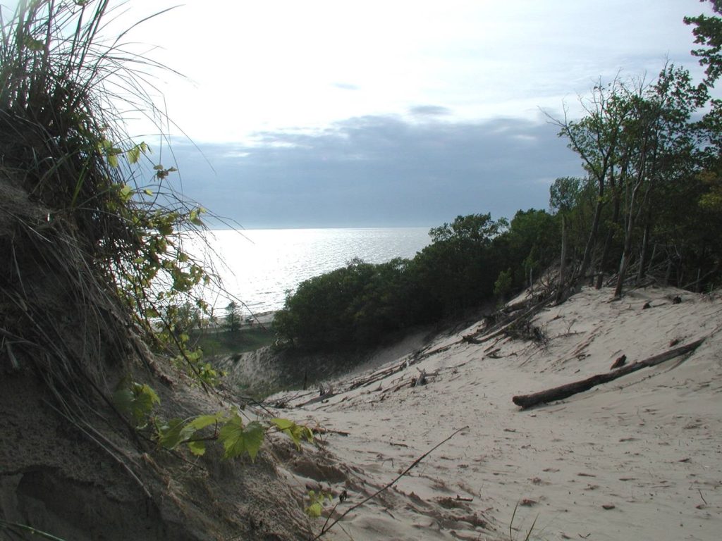 North Ottawa Dunes - Ferrysburg, Michigan. Photo courtesy of Ottawa County Parks