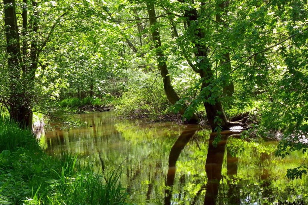 Pigeon Creek Park - West Olive, Michigan. Photo courtesy of Ottawa County Parks