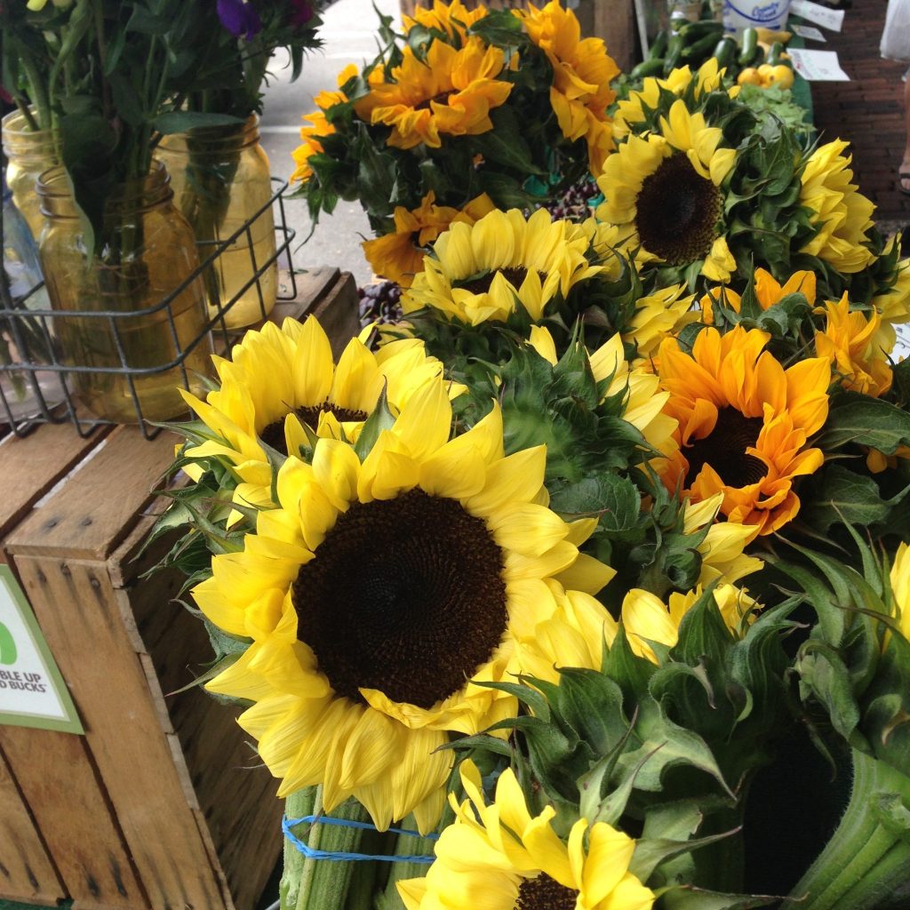 Grand Haven Farmers Market Grand Haven Farmers Market