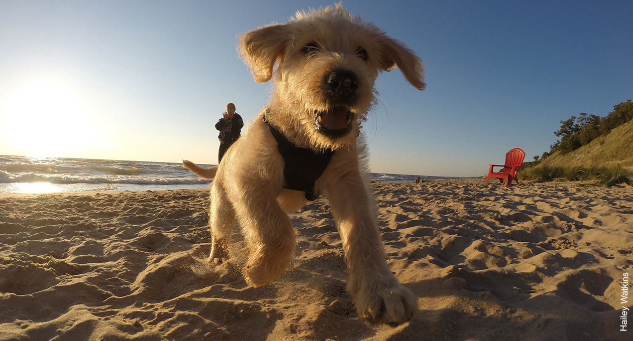 Kirk Park- Grand Haven Kirk Park- Grand Haven