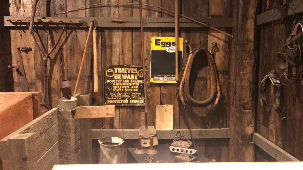 Best Kids Activities in the Grand Haven Area Grand Haven