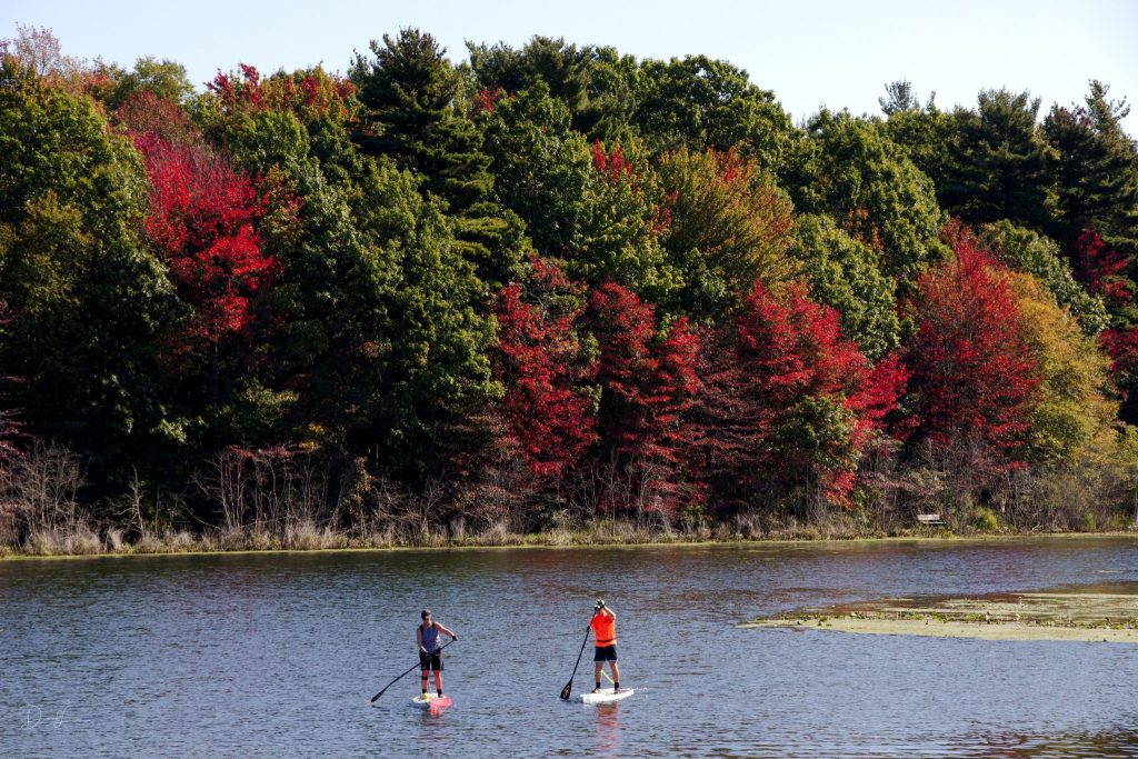 David Lane - Fall in the Grand Haven Area