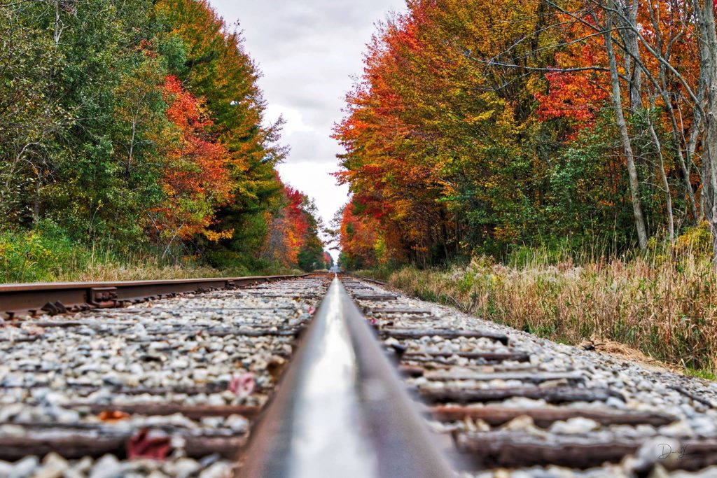 David Lane - Fall in the Grand Haven Michigan Area