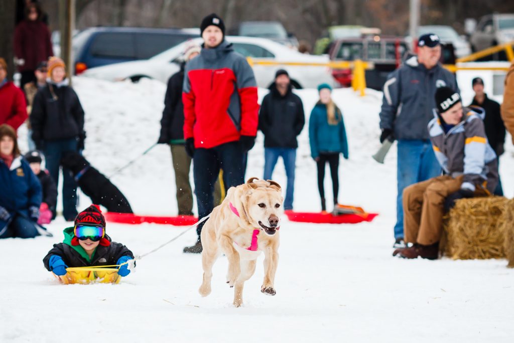 Best Dog Friendly Activities in the Grand Haven Area - Grand Haven