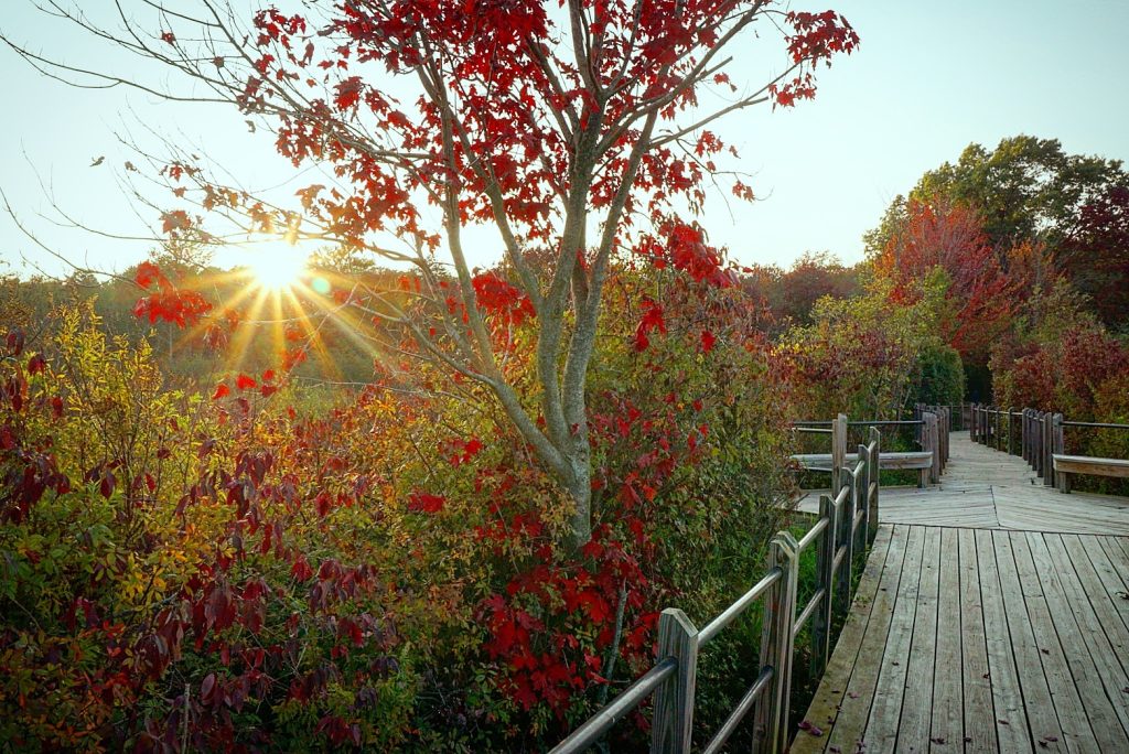 Nick Irwin - Fall in the Grand Haven Area