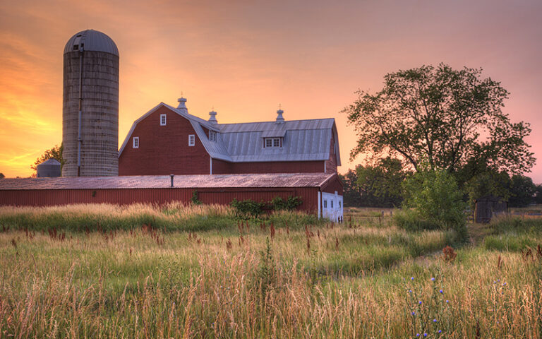 Fall in Love with The Grand Haven Area - Grand Haven